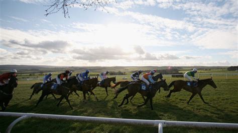 Hexham Tips .